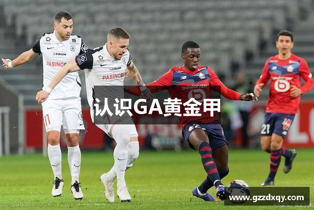 认识GA黄金甲